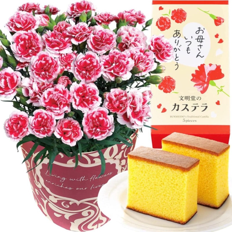 ����� �֤ȥ������� �� ȭ���� �����͡������ ��ȭ �ץ쥼��� ���ۻ� ��������