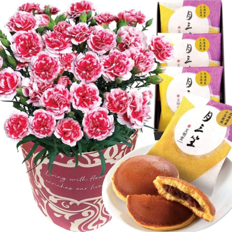  ֤ȥ  ȭ ͡ ȭ ץ쥼 ۻ 