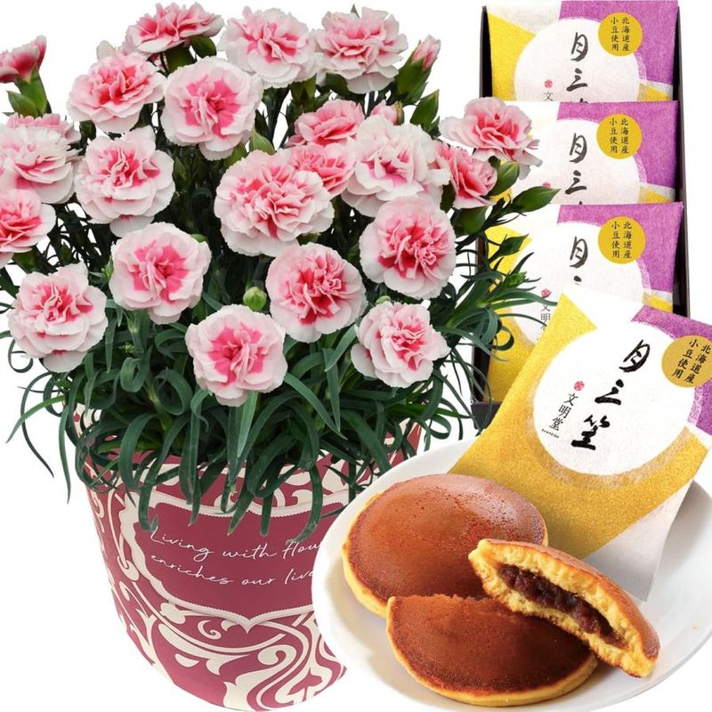  ֤ȥ  ȭ ͡ ȭ ץ쥼 ۻ 