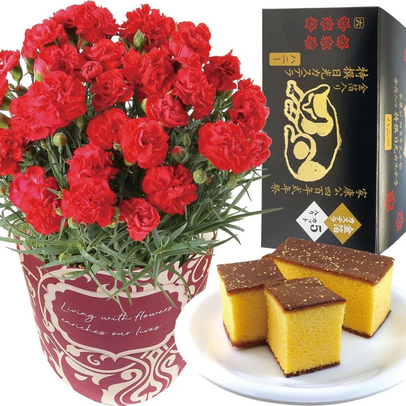  ֤ȥ  ȭ ͡ ȭ ץ쥼 ۻ 