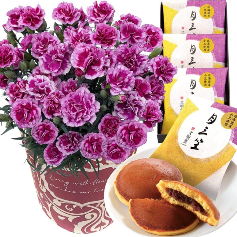  ֤ȥ  ȭ ͡ ȭ ץ쥼 ۻ 