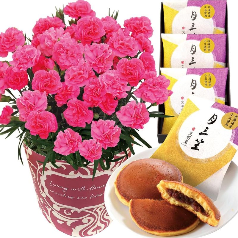 母の日 花とスイーツ 花 鉢植え カーネーション 花鉢 プレゼント お菓子 スイーツ