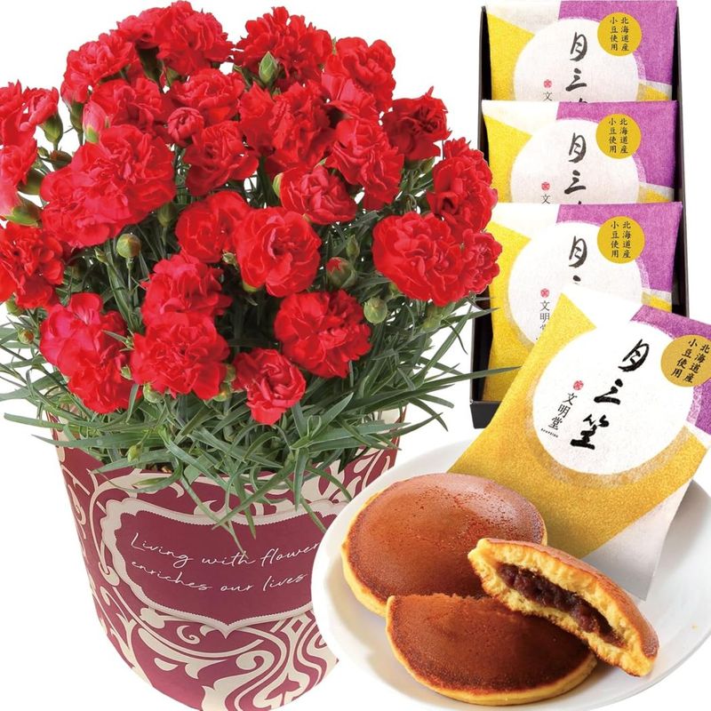  ֤ȥ  ȭ ͡ ȭ ץ쥼 ۻ 