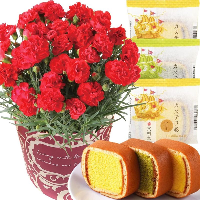  ֤ȥ  ȭ ͡ ȭ ץ쥼 ۻ 