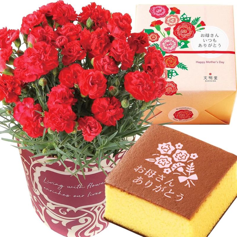 ����� �֤ȥ������� �� ȭ���� �����͡������ ��ȭ �ץ쥼��� ���ۻ� ��������