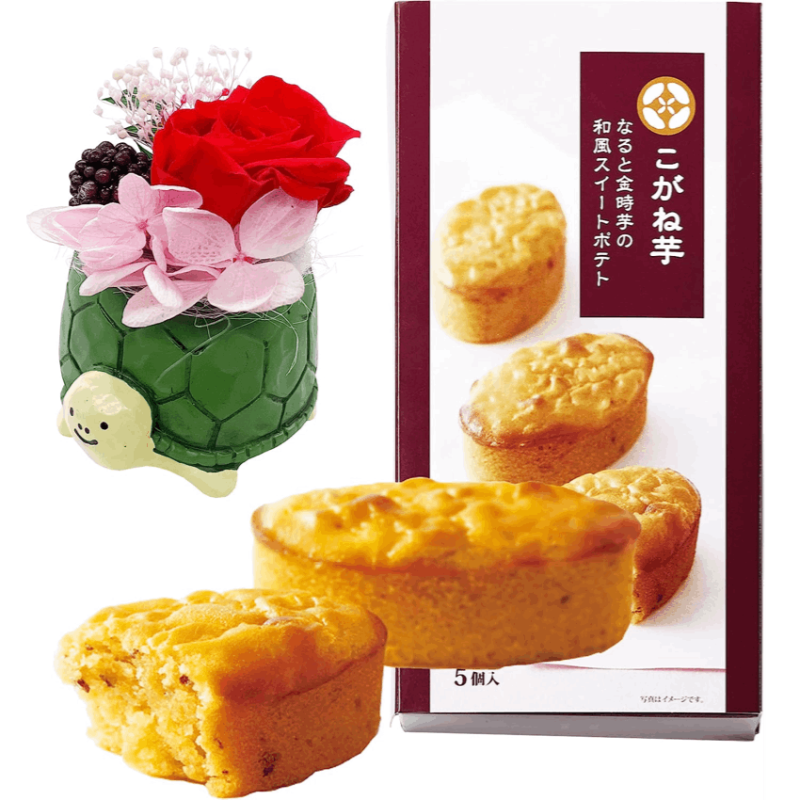 ����� �ץꥶ���֥ɥե� �� �ץ쥼��� ���ե� ������Υץ쥼��� ��������ե�