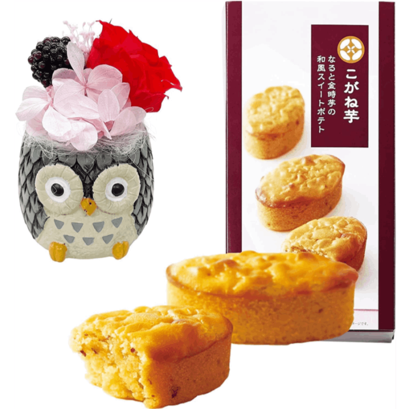 ����� �ץꥶ���֥ɥե� �� �ץ쥼��� ���ե� ������Υץ쥼��� ��������ե�