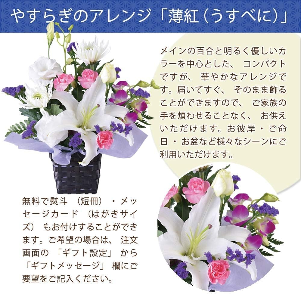 新しい お菓子 花 お供え お供え物 お盆 お彼岸 お悔やみ おそなえ 生花 花・観葉植物