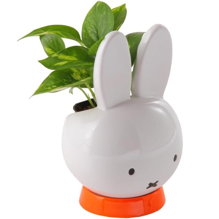 ミッフィー ポトス 誕生日 観葉植物 鉢植え プレゼント ギフト
