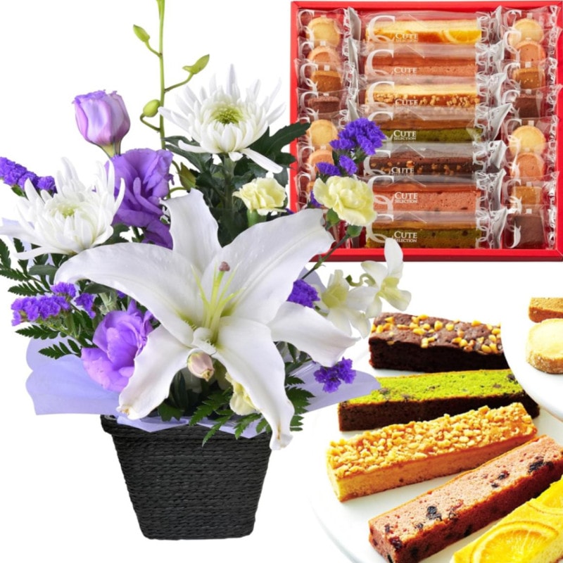 ������ �� ���ۻ� ������ʪ ���� �����ʤ� ������� ����� ���� ̿�� �����