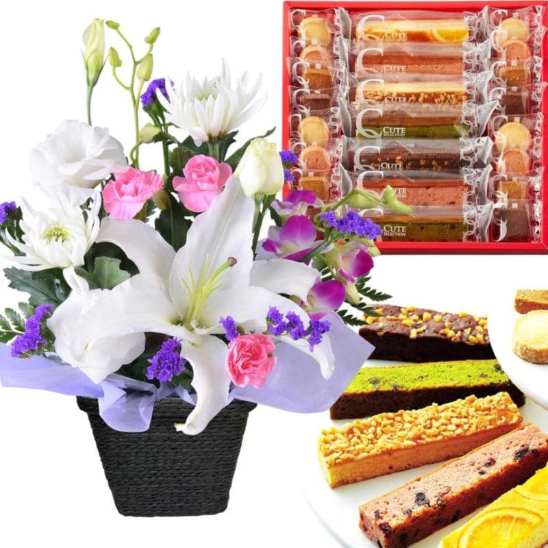 ������ �� ���ۻ� ������ʪ ���� �����ʤ� ������� ����� ���� ̿�� �Ʋۻ�