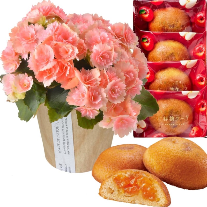 ꡼  ե  ץ쥼 ȭ ȭ ۻ ꥹƥե 󥴥4