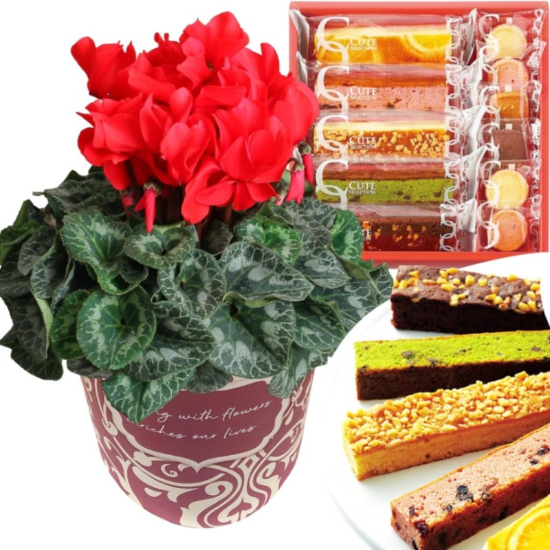  ե ץ쥼  ȭ ȭ  5ȭ   