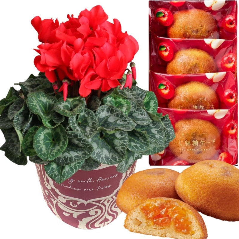  ե ץ쥼  ȭ ȭ  5ȭ  ۻ βۻ