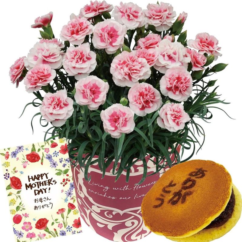 �֤Υ��եȼ� ����� �֤ȥ������� ȭ���� �����͡������ ������ե��ޡ����� �ɤ�� ʸ��Ʋ