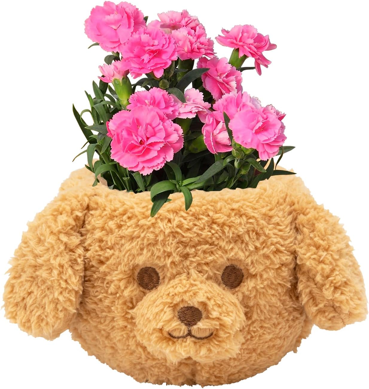 母の日 プレゼント 花 鉢 フラワーギフト プードル いぬ好き 犬 花鉢 