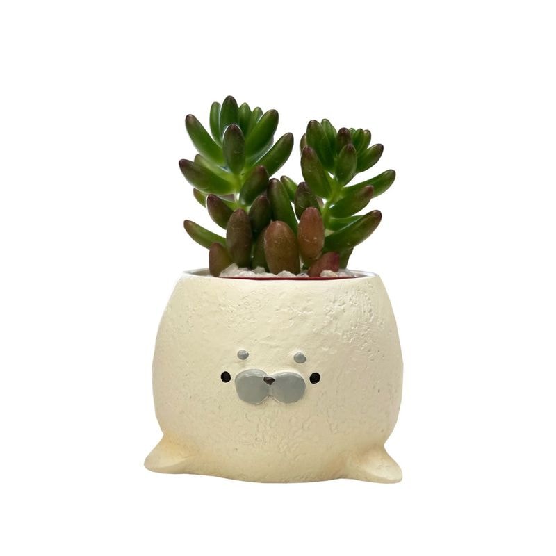 ¿ʪ ƥꥢ տʪ ե 餷 ߥ˥ ץե ¿