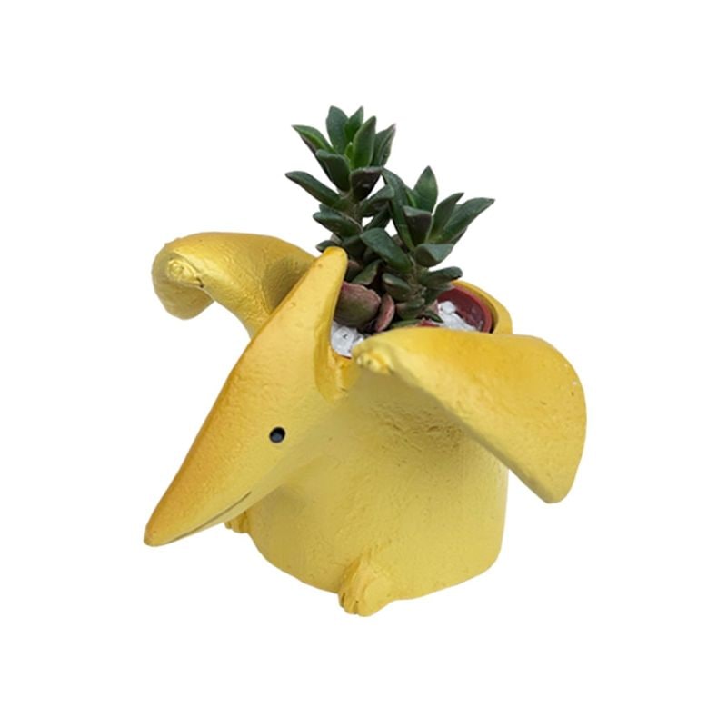 ¿ʪ ¿ ε ȥ붲ε ե ץƥΥɥ  襤 ƥꥢ ץե