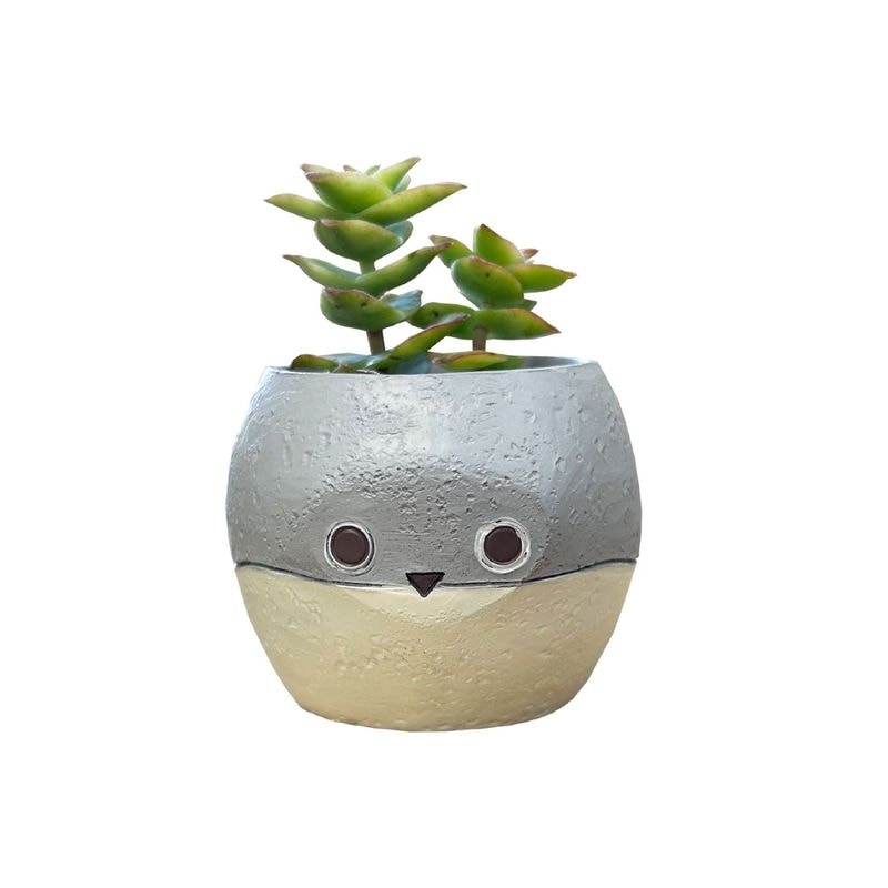 ¿ʪ ƥꥢ տʪ ե ХХԥ ߥ˥ ץե ¿