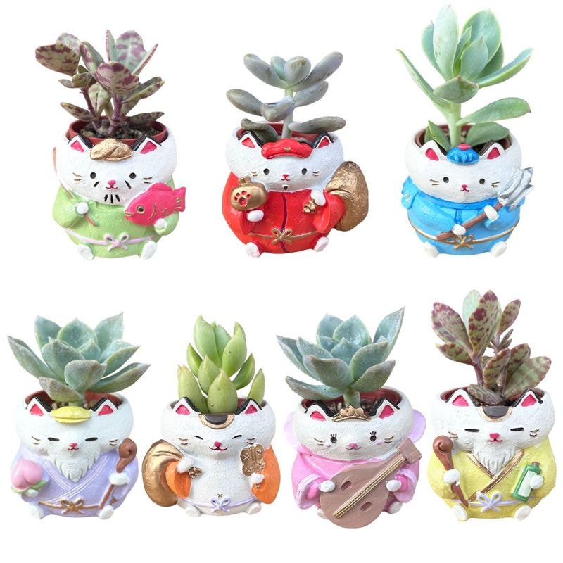 ¿ʪ ¿ ʡ տʪ ե 襤 ƥꥢ  ץե ǭ