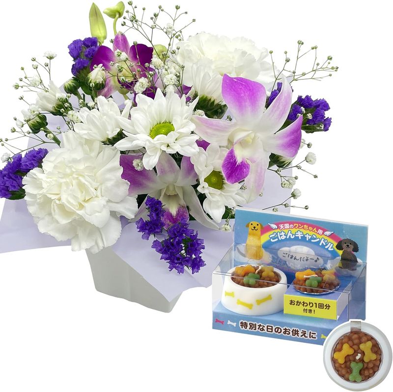 ������ �� �ڥå� �� ������ʪ ���� ʩ�� ������� ����� ���� ̿�� ���Ϥ�