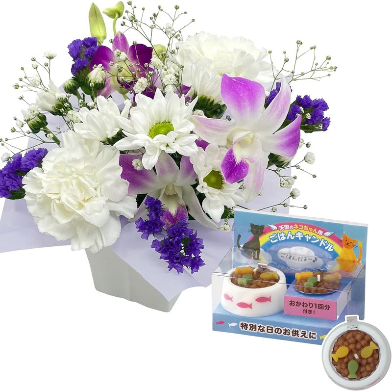 ������ �� �ڥå� ǭ ������ʪ ���� ʩ�� ������� ����� ���� ̿�� ���Ϥ�