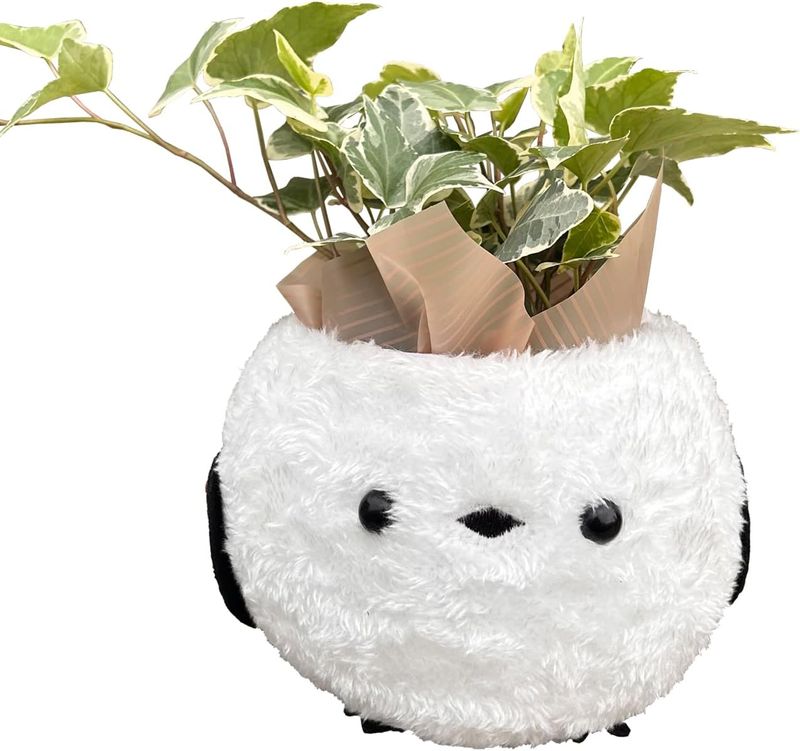 アイビー 観葉植物 ミニ 本物 鉢植え プレゼント ギフト シマエナガ しまえなが