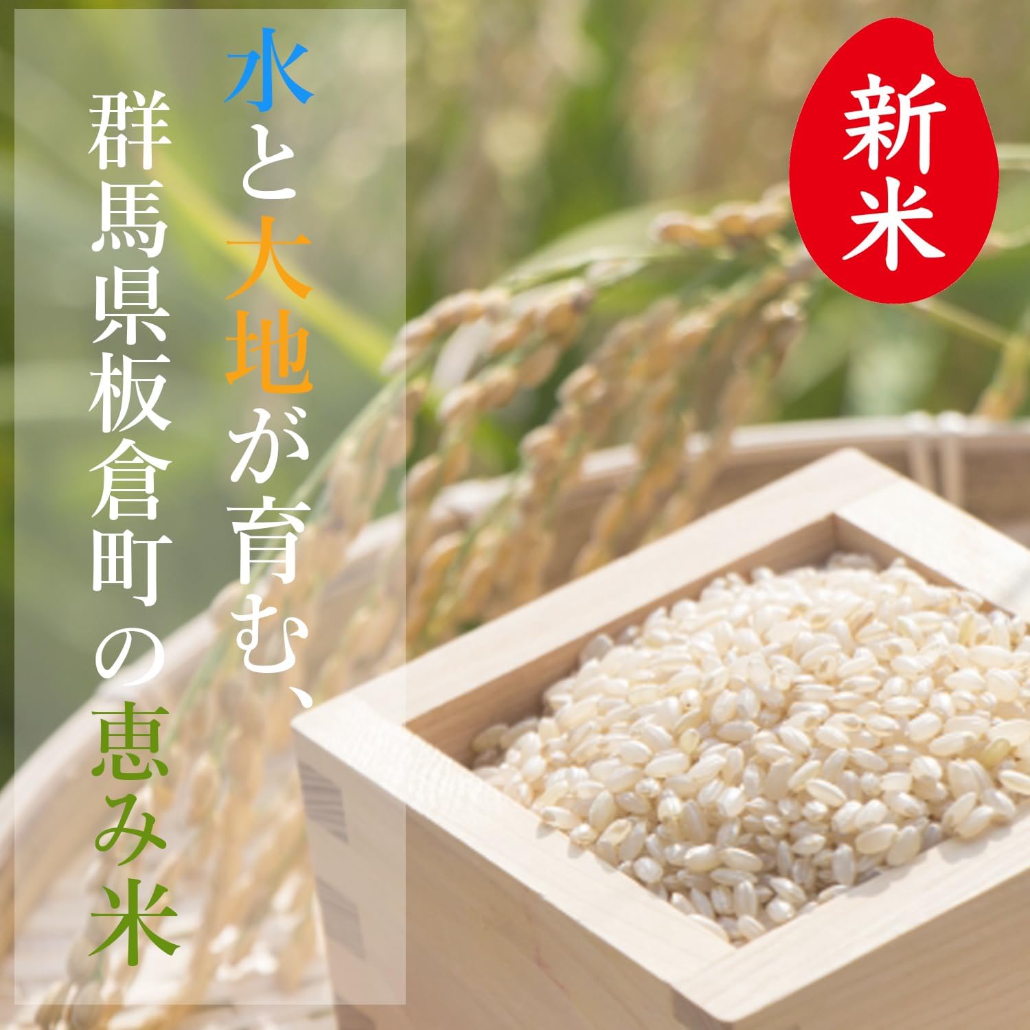 新米 令和7年産 米 30kg 玄米 群馬県産 お米 おこめ 30キロ にじの