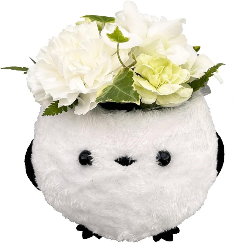 ޥʥ 󥸥 ʪ ڲ ץ쥼  ե   