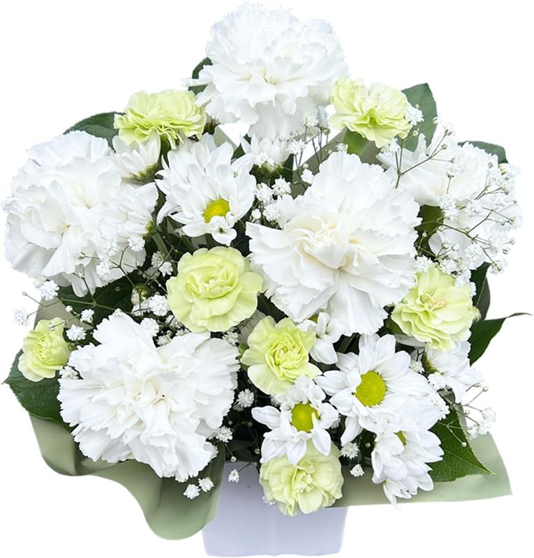 �֤Υ��եȼ� ����� ���� ���� ������ʪ ���� ʩ�� ������� ����� ���� ̿�� ���� ������