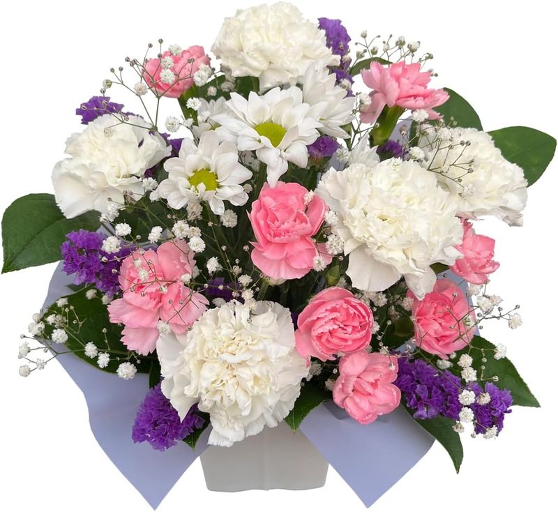 ������ �� ������ʪ ���� �����ʤ� ʩ�� ���� ����� ���� ̿�� ������ �ڤ䤫