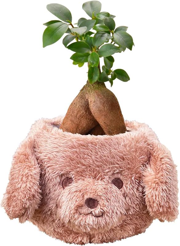 ������ޥ� ������ޥ���� ���տ�ʪ �ߥ� ȭ���� ������ޥ�ȭ���� �ȥ��ס��ɥ�