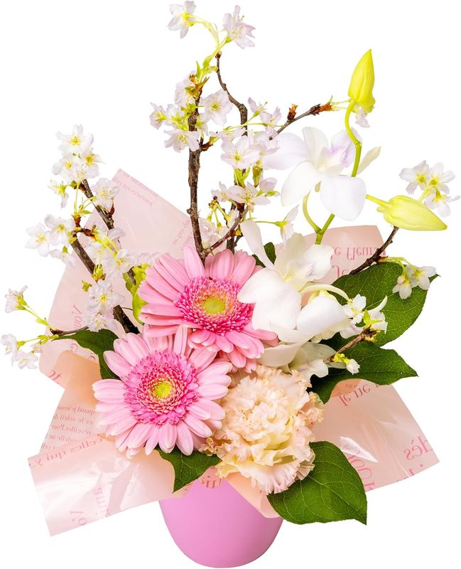 �� ����󥸥��� ����� ������ �ץ쥼��� ������ �ԥ� ���ե� �� ����