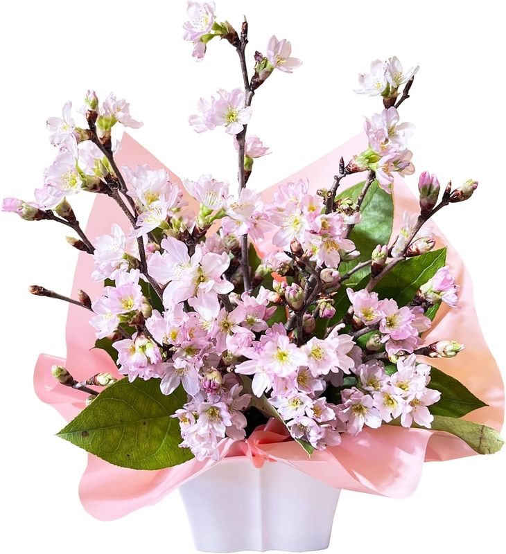 �� ������ ����󥸥��� ���ե� ����� ������ �ץ쥼��� ������ �� ���ˤ�