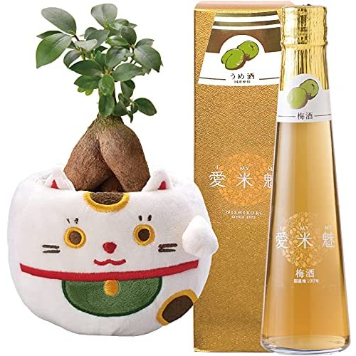 ������ޥ���� ¿������ ����ǭ �Х����å� ���ټ�¤ �߼� �����ơ�̥ ���� ������