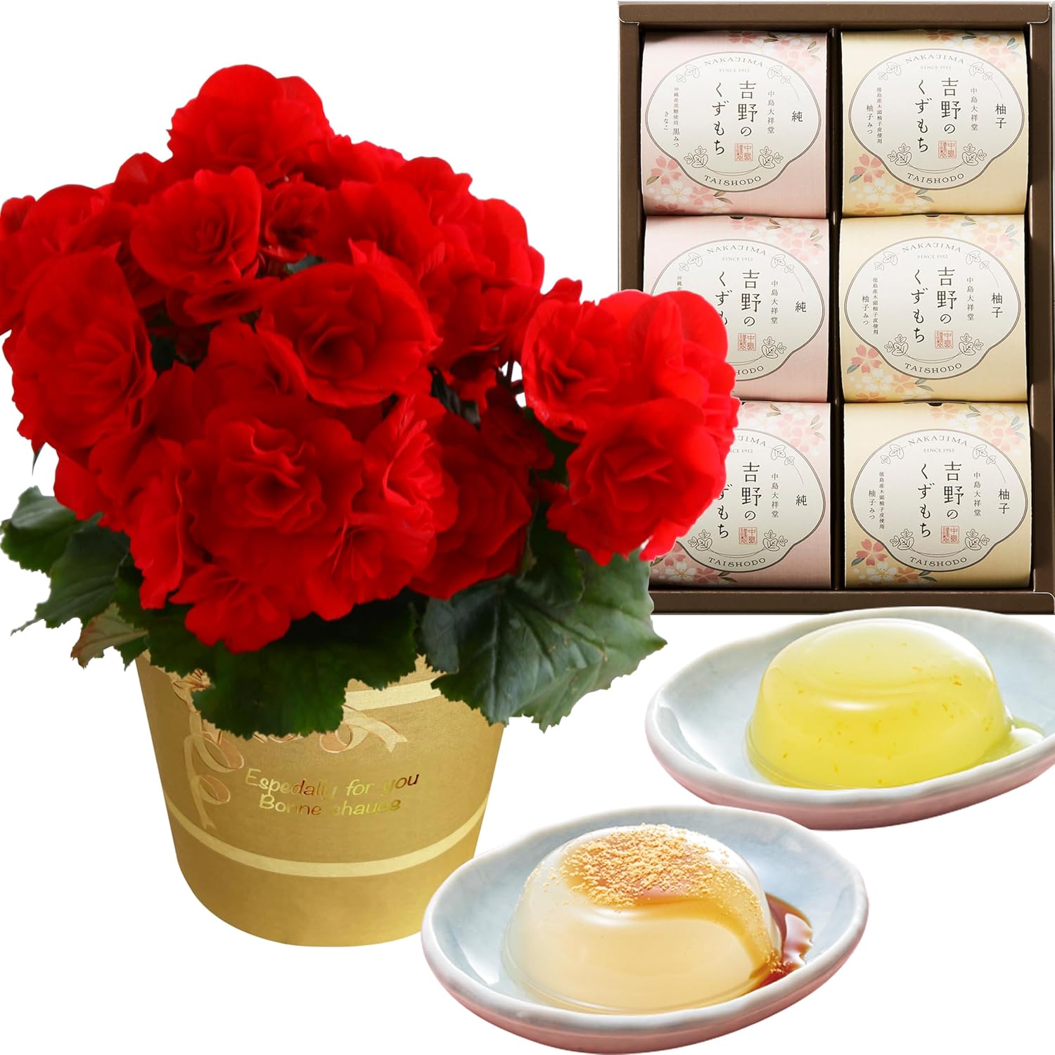 �꡼������ �٥��˥� �� ���ե� ������ �ץ쥼��� �꡼�������٥��˥� ȭ���� ȭ��
