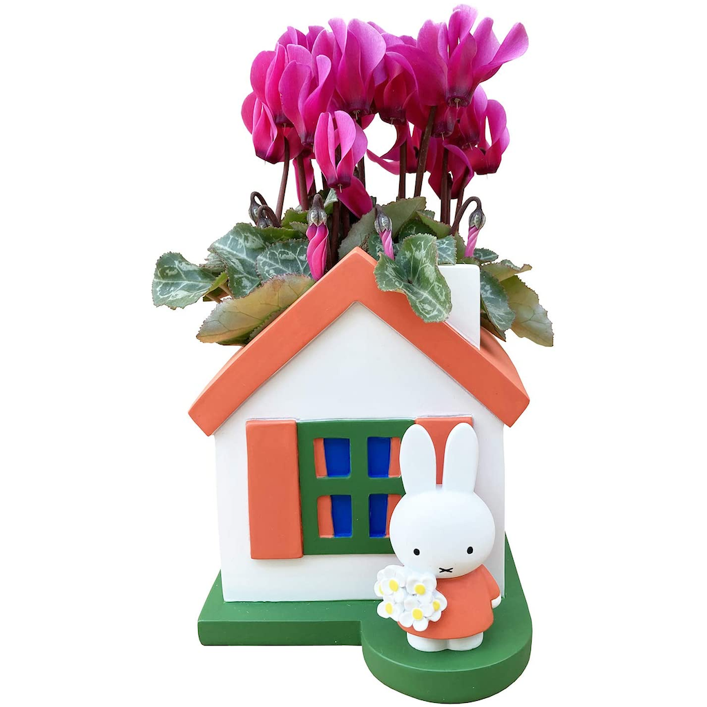 �ߥåե��� Miffy �������� ��������β� ȭ���� ���å� ������ �� ���ե�
