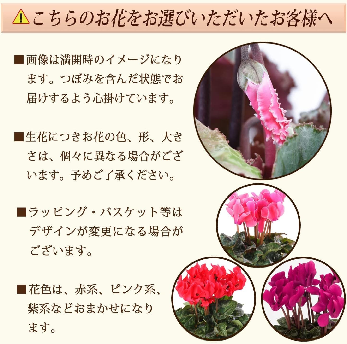 �ߥåե��� Miffy �������� ��������β� ȭ���� ���å� ������ �� ���ե�