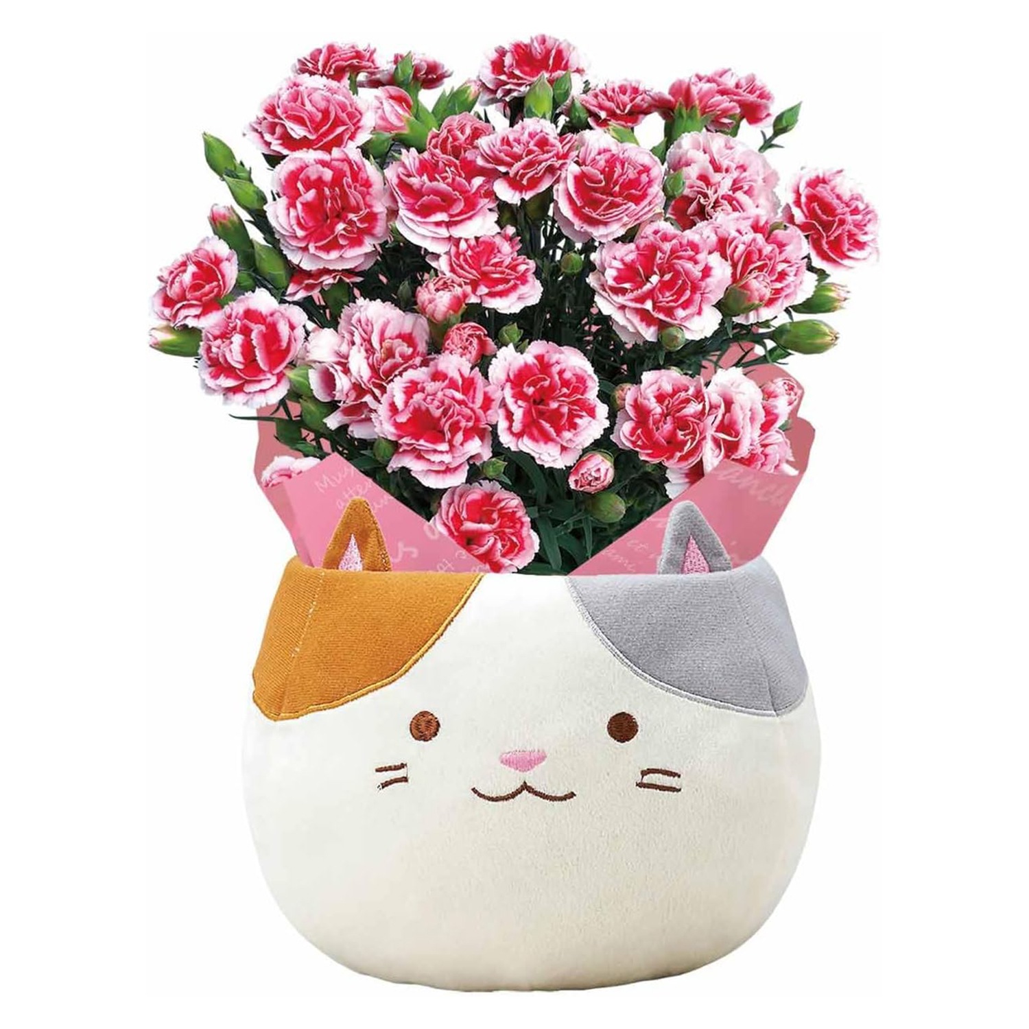 ����� �� ȭ���� �����͡������ �ץ쥼��� ��ȭ ��������ե� �������ۥ��å�