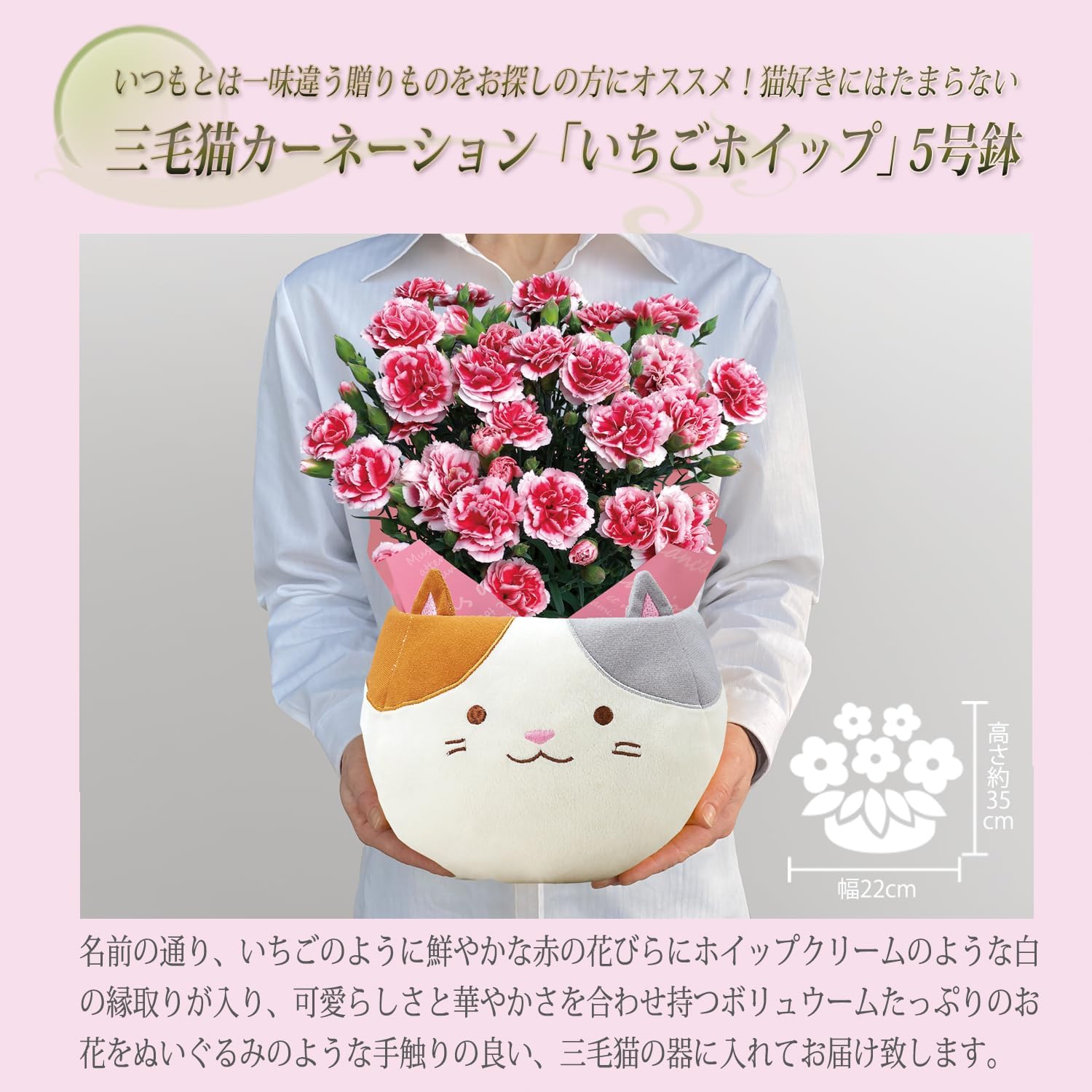 ����� �� ȭ���� �����͡������ �ץ쥼��� ��ȭ ��������ե� �������ۥ��å�