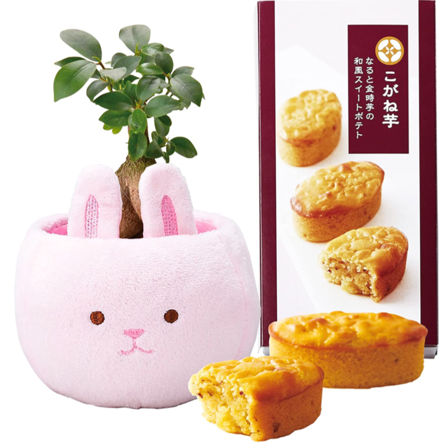 ������ޥ���� ¿������ ������ �Х����å� �����Ͱ� �������Ʋ ���տ�ʪ �ۻ�