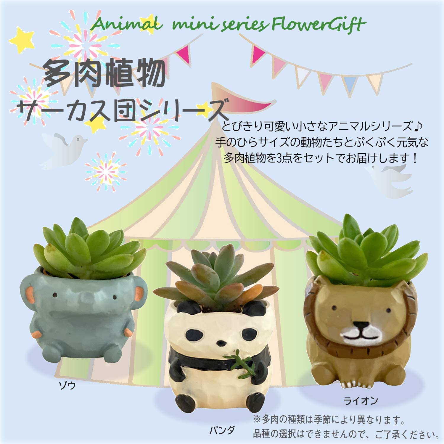 ¿�� �͵��� ưʪ ������ ƫ��ȭ ưʪ ����ƥꥢ ���տ�ʪ ���ե� �ץ쥼���