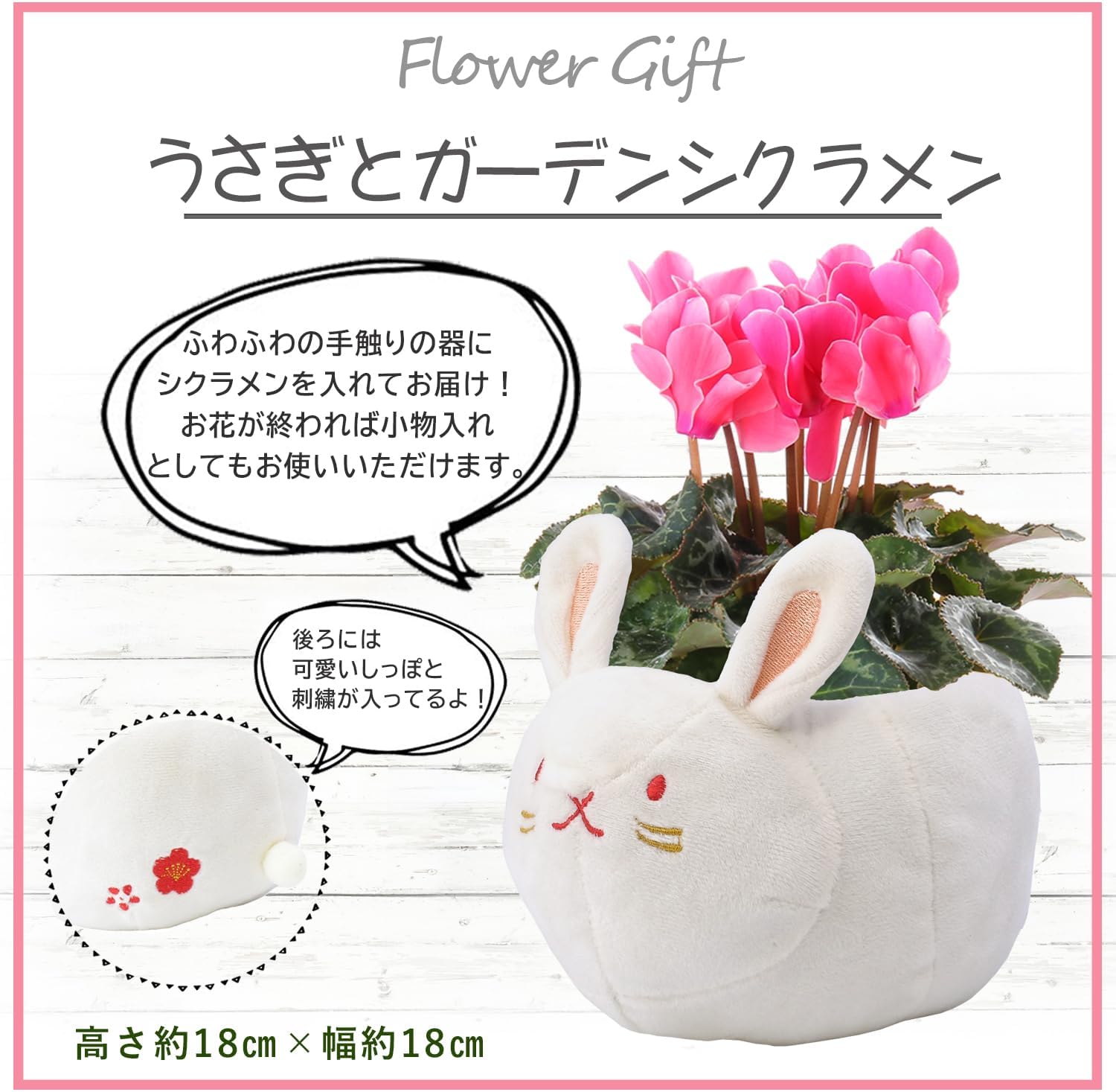 �ץ쥼��� ���ե� �����ǥ󥷥����� �� ��������ȭ���� ������ ������ ������