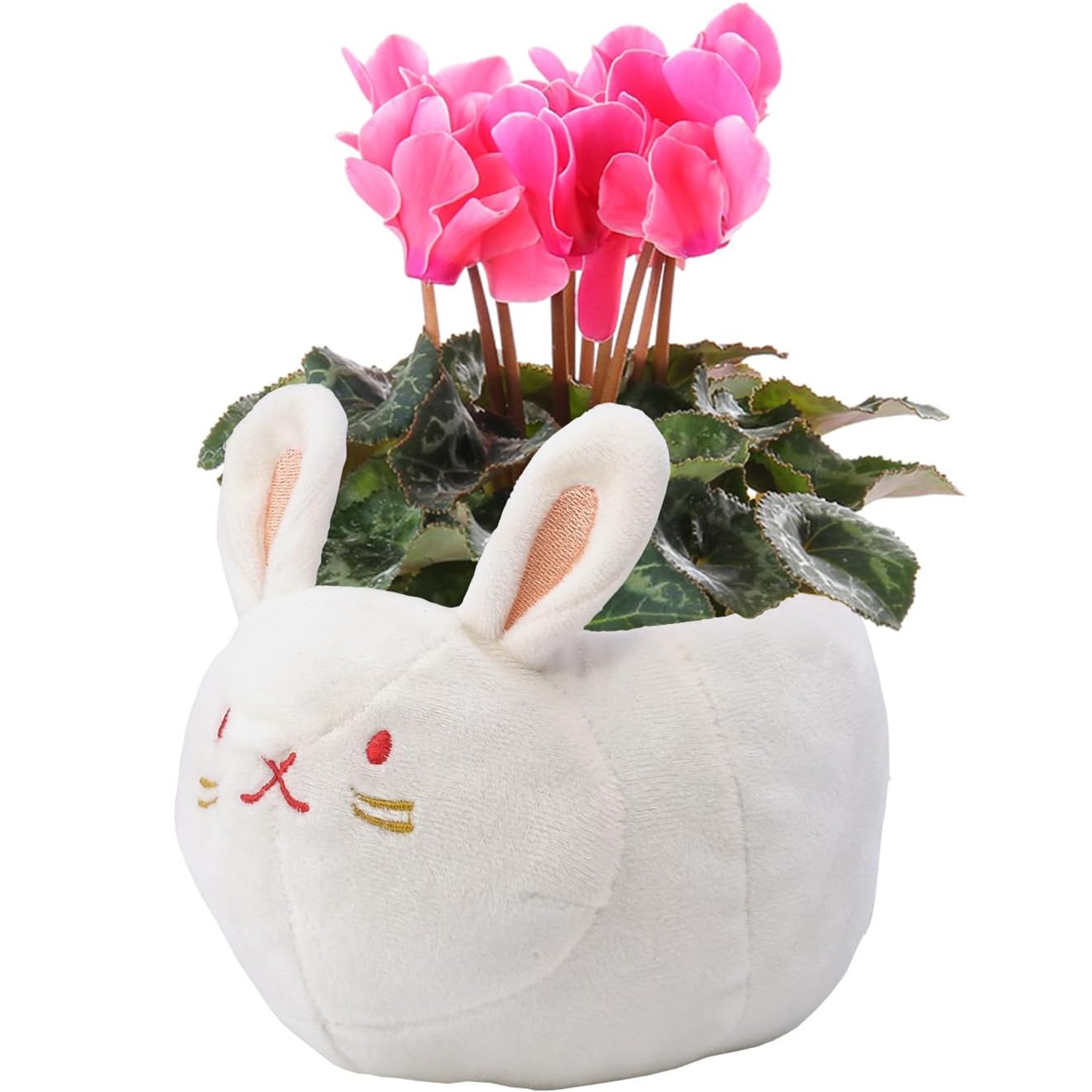 �ץ쥼��� ���ե� �����ǥ󥷥����� �� ��������ȭ���� ������ ������ ������