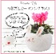 �ץ쥼��� ���ե� �����ǥ󥷥����� �� ��������ȭ���� ������ ������ ������