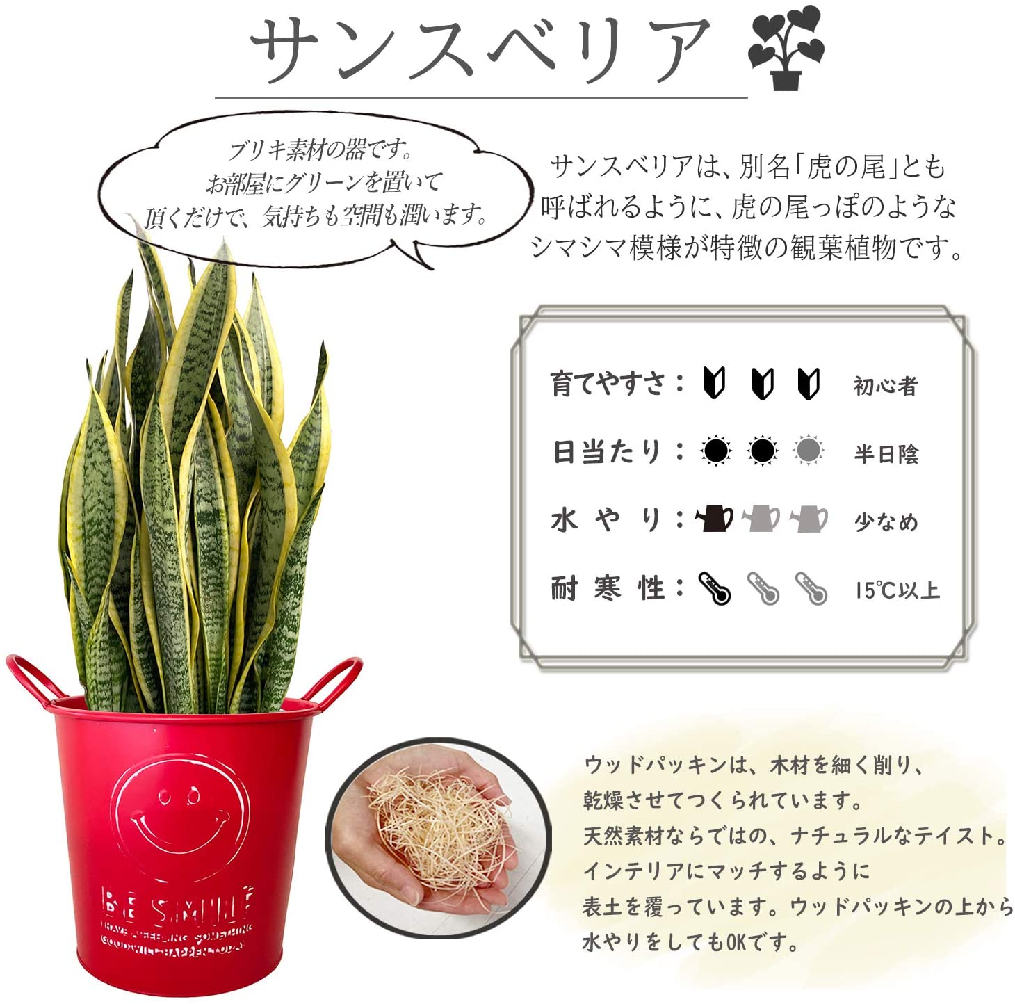 ���󥹥٥ꥢ 7��ȭ �ˤ������ ���տ�ʪ ����ƥꥢ ������ ��ǰ�� ��ӥ�