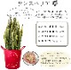 ���󥹥٥ꥢ 7��ȭ �ˤ������ ���տ�ʪ ����ƥꥢ ������ ��ǰ�� ��ӥ�