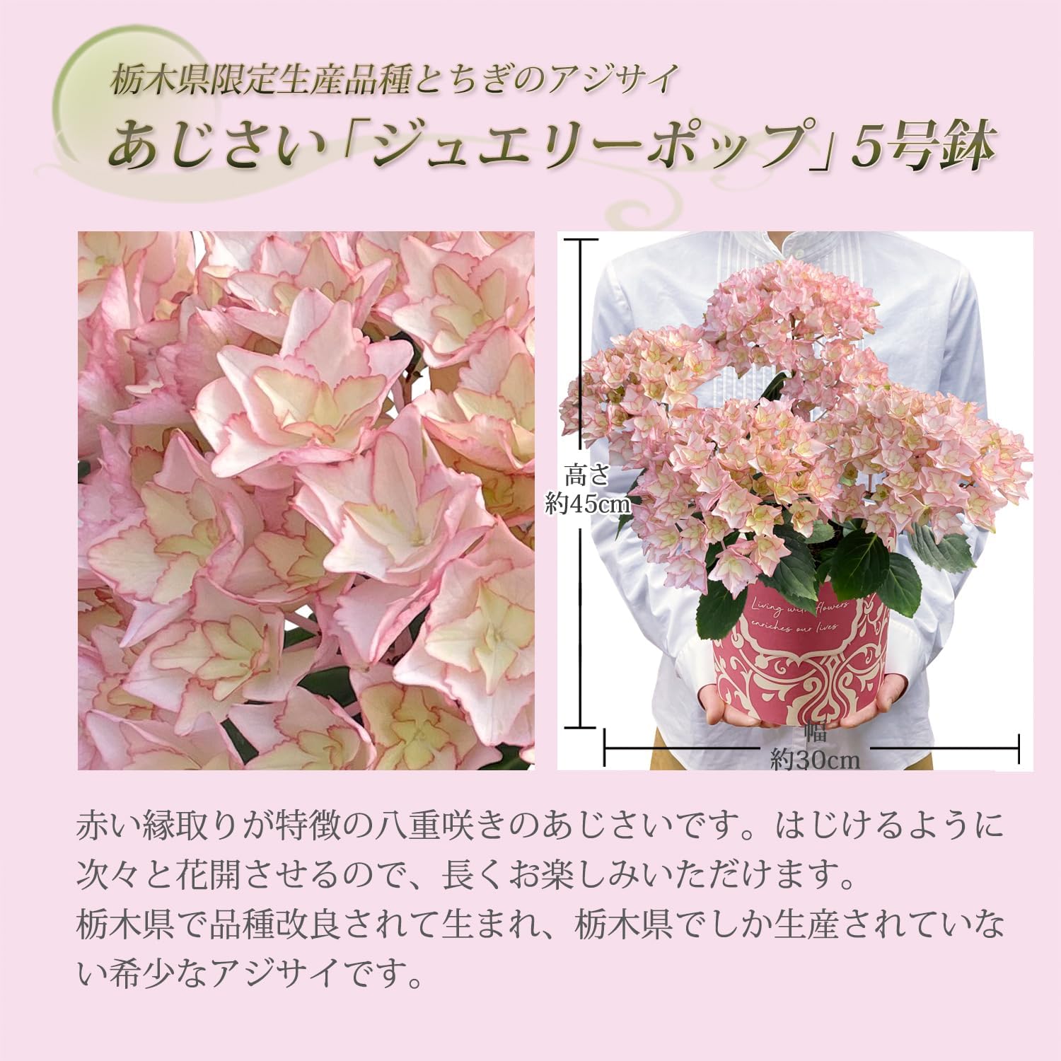 ����� �� ȭ���� �������� ���۲� ������ �������� ��������ե� ���奨�꡼�ݥå�