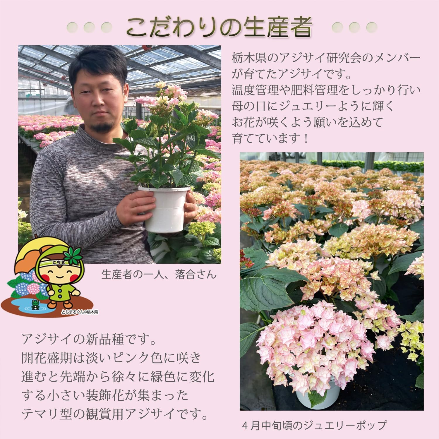 ����� �� ȭ���� �������� ���۲� ������ �������� ��������ե� ���奨�꡼�ݥå�