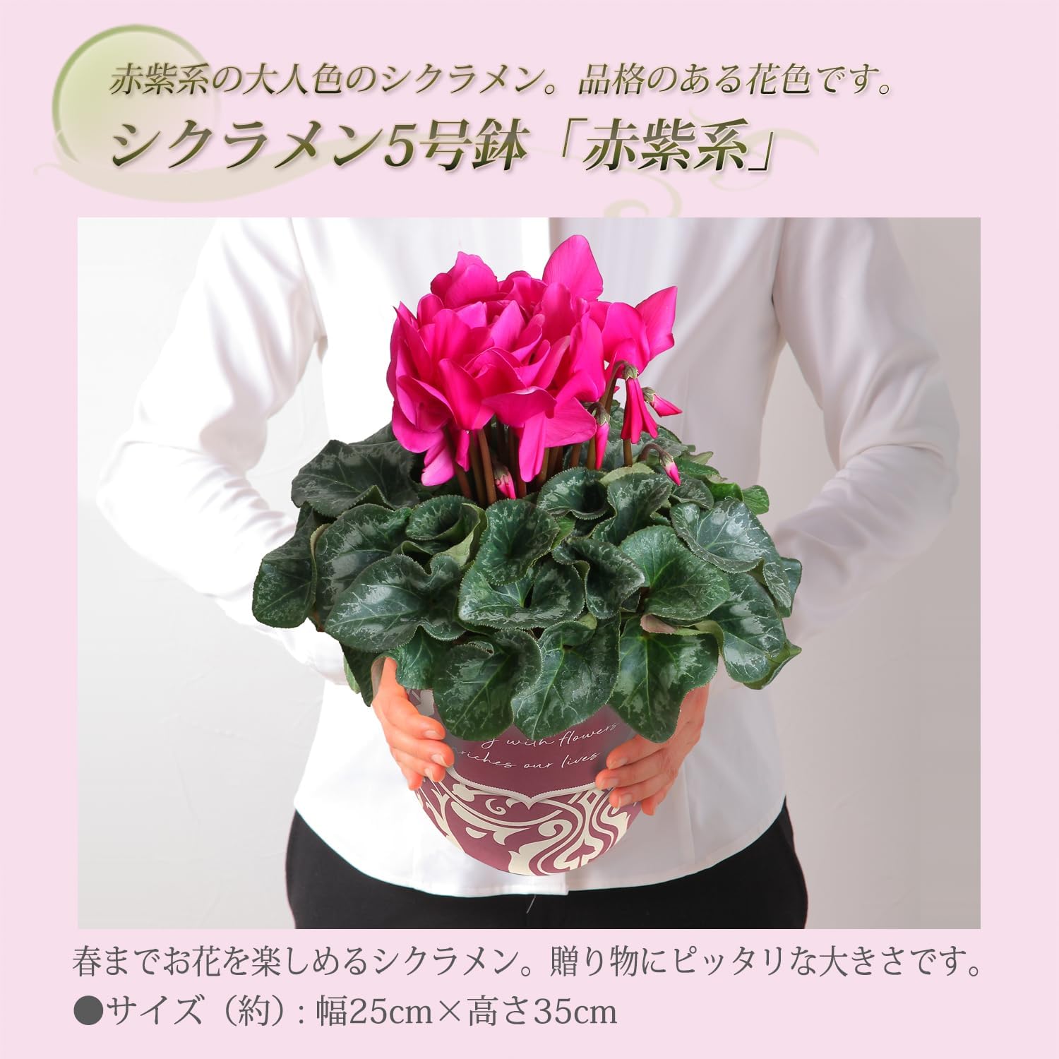 �������� ���ե� �ץ쥼��� �� ȭ���� ȭ�� ������ 5��ȭ �� ���� ������
